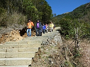 Thumbnail of pic_Wai_350.JPG