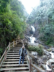 Thumbnail of pic_Wai_398.JPG