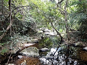 Thumbnail of P1090007.JPG