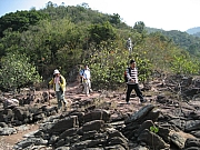 Thumbnail of pic_CC_Li_65.JPG