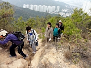 Thumbnail of P1160016.JPG
