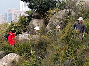 Thumbnail of P1160036.JPG