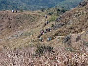 Thumbnail of P1160116.JPG