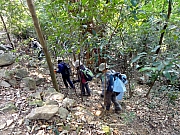 Thumbnail of P1160161.JPG