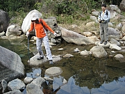 Thumbnail of pic_CC_Li_205.JPG