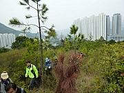 Thumbnail of pic_Wai_013.JPG