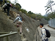 Thumbnail of pic_Wai_031.JPG