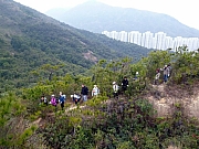 Thumbnail of pic_Wai_039.JPG