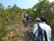 Thumbnail of pic_Wai_167.JPG