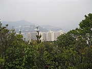 Thumbnail of pic_Yuen_010.jpg