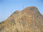 Thumbnail of pic_Yuen_106.jpg
