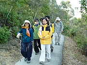 Thumbnail of pic_Wai_012.JPG