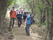 Thumbnail of pic_Yuen_30.jpg