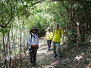 Thumbnail of pic_Wai_164.JPG