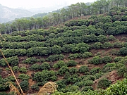 Thumbnail of P2200045.JPG