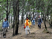Thumbnail of P2200069.JPG