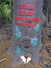 Thumbnail of P2200109.JPG