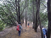 Thumbnail of PIC_Wai_099.JPG