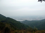 Thumbnail of PIC_Wai_111.JPG