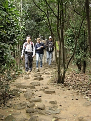 Thumbnail of pic_CC_Li_116.JPG