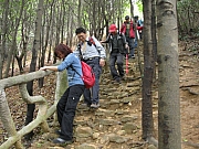 Thumbnail of pic_Yuen_074.JPG