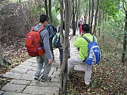 Thumbnail of pic_Yuen_084.JPG