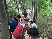 Thumbnail of pic_Yuen_089.JPG