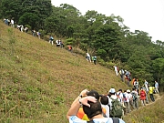 Thumbnail of PIC_CC_Li_029.JPG