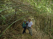 Thumbnail of PIC_Wai_025.JPG