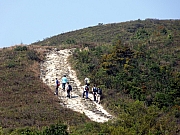 Thumbnail of P3130012.JPG