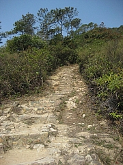 Thumbnail of PIC_CC_Li_07.JPG