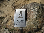 Thumbnail of PIC_CC_Li_11.JPG