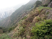 Thumbnail of P3200067.JPG