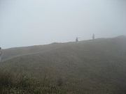 Thumbnail of PIC_CC_Li_31.JPG