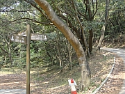 Thumbnail of pic_Lui_062.JPG
