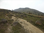 Thumbnail of pic_Lui_099.JPG