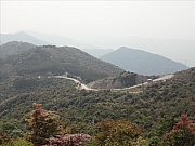 Thumbnail of pic_Lui_134.JPG