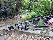 Thumbnail of P4170102.JPG