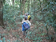 Thumbnail of pic_CC_Li_80.JPG