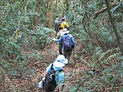 Thumbnail of pic_CC_Li_81.JPG