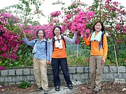 Thumbnail of pic_Wai_033.JPG