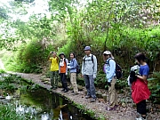 Thumbnail of pic_Wai_047.JPG