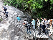 Thumbnail of P4250067.JPG