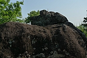 Thumbnail of pic_CC_Li_192.JPG