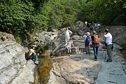 Thumbnail of pic_CC_Li_454.JPG