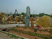 Thumbnail of pic_MF_Li_067.JPG
