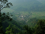 Thumbnail of pic_MF_Li_240.JPG