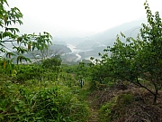 Thumbnail of pic_Wai_113.JPG