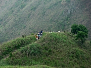 Thumbnail of P5010092.JPG