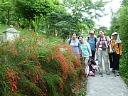 Thumbnail of pic_Wai_175.JPG